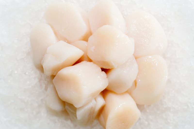 Raw sea scallops on crushed ice.